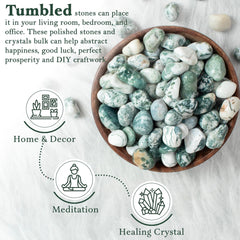 ZAICUS Tree Agate tumbled stones arranged to evoke feng shui harmony