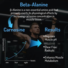 Zaigon beta alanine bottle label close-up, highlighting liposomal delivery for better absorption.