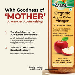 Zandu Apple Cider salad dressing idea, enhances fruitiness in salads.