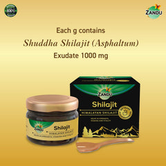 Zandu Himalayan Shilajit Resin raw paste emphasizes natural Shilajit source and purity.