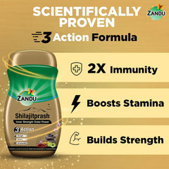 Zandu Shilajitprash 47-herbs blend illustrated for holistic wellness.