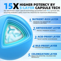 Digestive enzymes image illustrating protein and fat breakdown behind ZEBORA Probiotics for Men