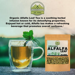 ZeeHERBS Alfalfa Leaf cut & sifted leaves in a spoon ready for brewing.