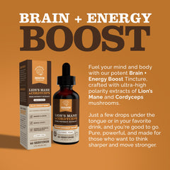 Zenith Nootropics tincture dropper ready for precise under-the-tongue dosing