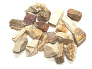 Zentron Crystal Collection rough natural petrified wood stones for cabbing and display
