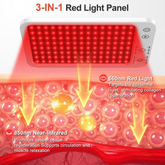 Ziptly panel dual wavelengths display for targeted skin care and relaxation.