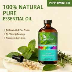 ZODION Peppermint diffuser in room releases crisp aroma energizing the space