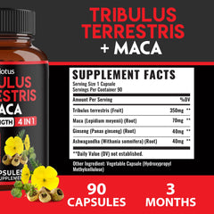 Zolotus Ashwagandha Panax Ginseng Maca capsules for a balanced wellness blend.