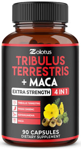 Zolotus Premium Tribulus Capsules bottle close-up showing convenient daily supplement.