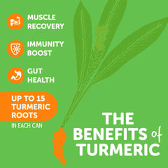 ZYN Turmeric Wellness Drink poured over ice in a glass for a refreshing moment