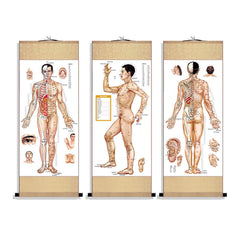 Zzooi silk scroll of human body acupuncture points for study and display