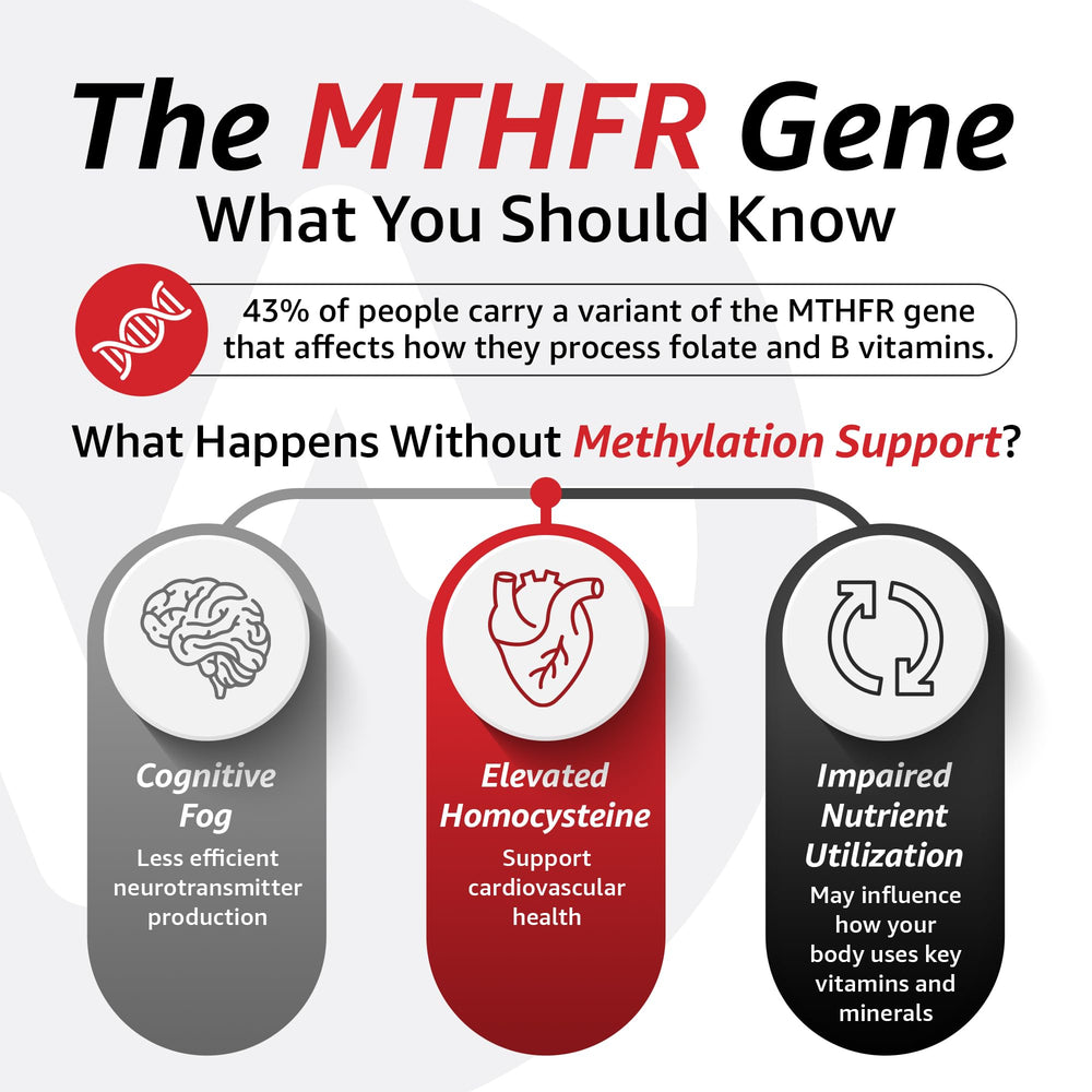 Close-up of 10X Health System TMG ingredients highlighting betaine content.