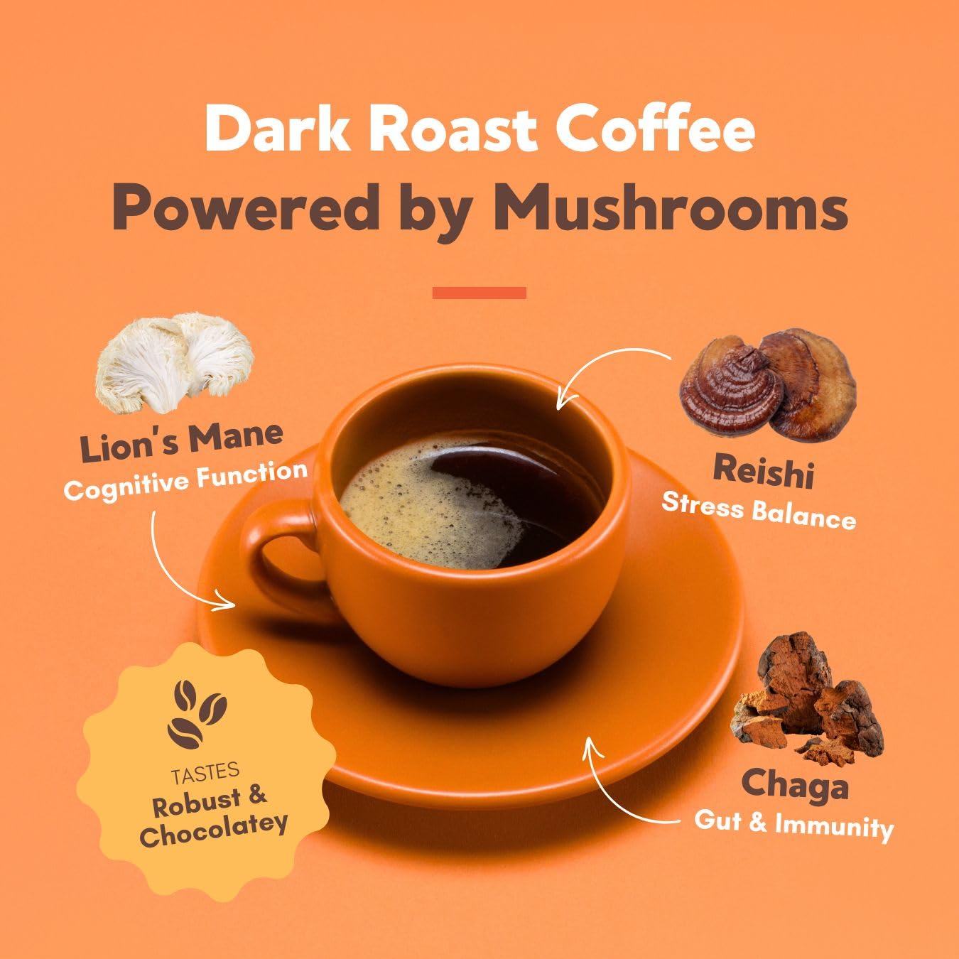 360 Nutrition Instant Mushroom Coffee close-up of Reishi Lion's Mane Chaga blend for energy and clarity