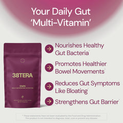 38TERA DMN wild berry shake ready to enjoy for fiber intake.