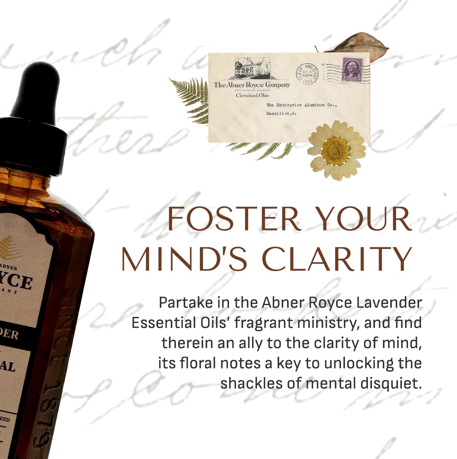 Abner Royce lavender oil in living room diffuser creating a calm atmosphere