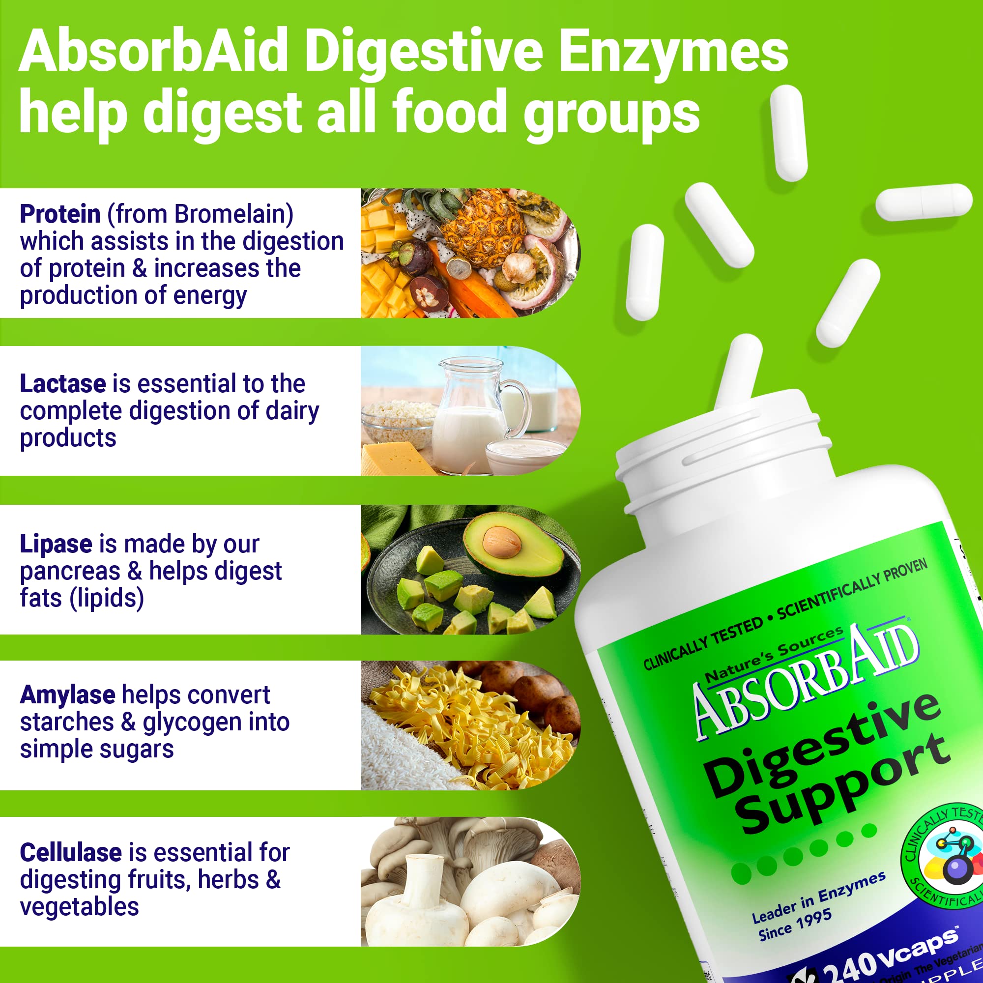 AbsorbAid Digestive Enzymes on kitchen counter during a healthy meal.