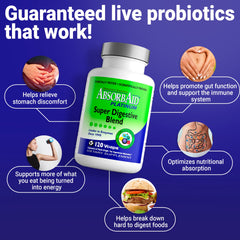 AbsorbAid Platinum capsules in hand illustrating easy daily supplement
