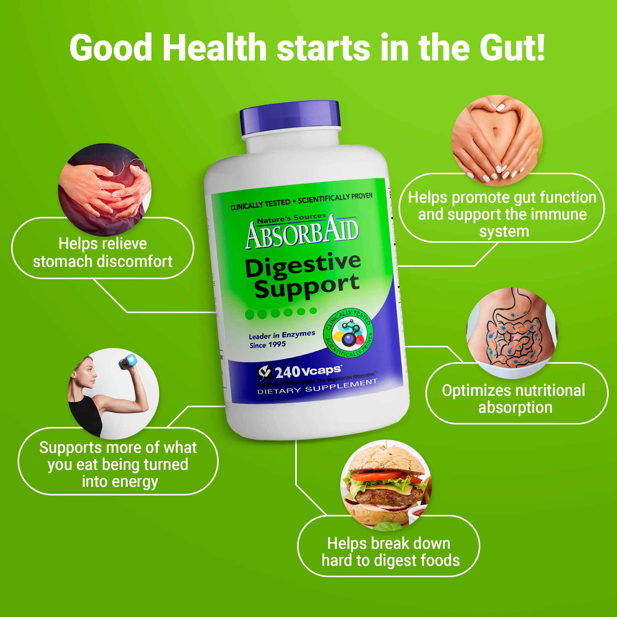 AbsorbAid dosage capsules provide clear daily intake cues.
