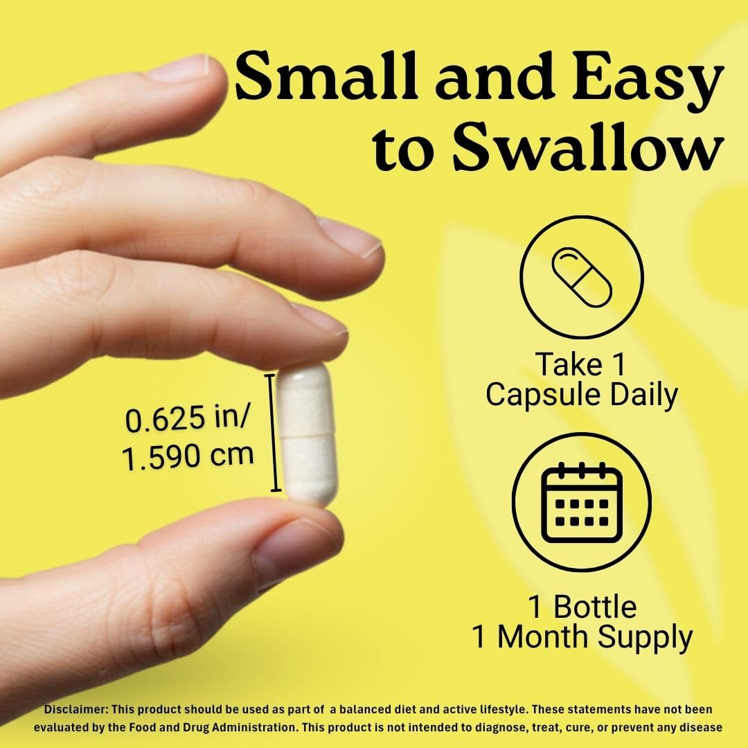 Activa Labs gluten-free and sugar-free formula for daily wellness.