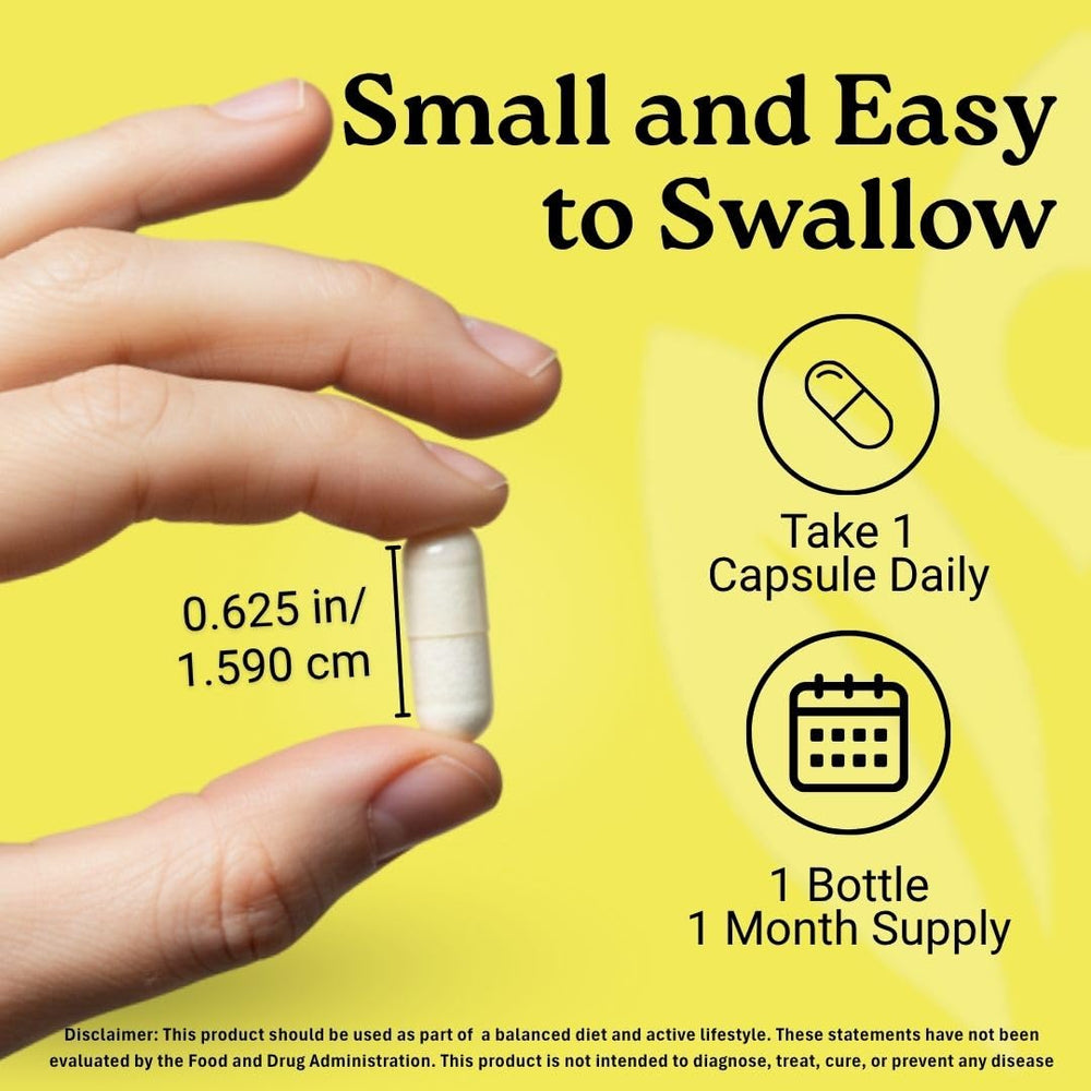 Activa Labs gluten-free and sugar-free formula for daily wellness.