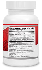 ActiveHerb QiVive ingredients layout highlighting digestion support