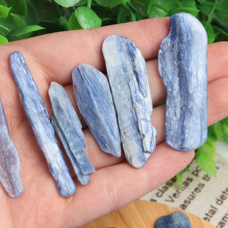 Acxico rough kyanite blade piece highlighting texture for display