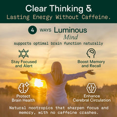 Adapt Naturals Luminous Mind daily-use setup for consistent routines.