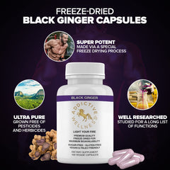 Addictive Wellness Kaempferia parviflora capsules scene emphasizing natural vitality.