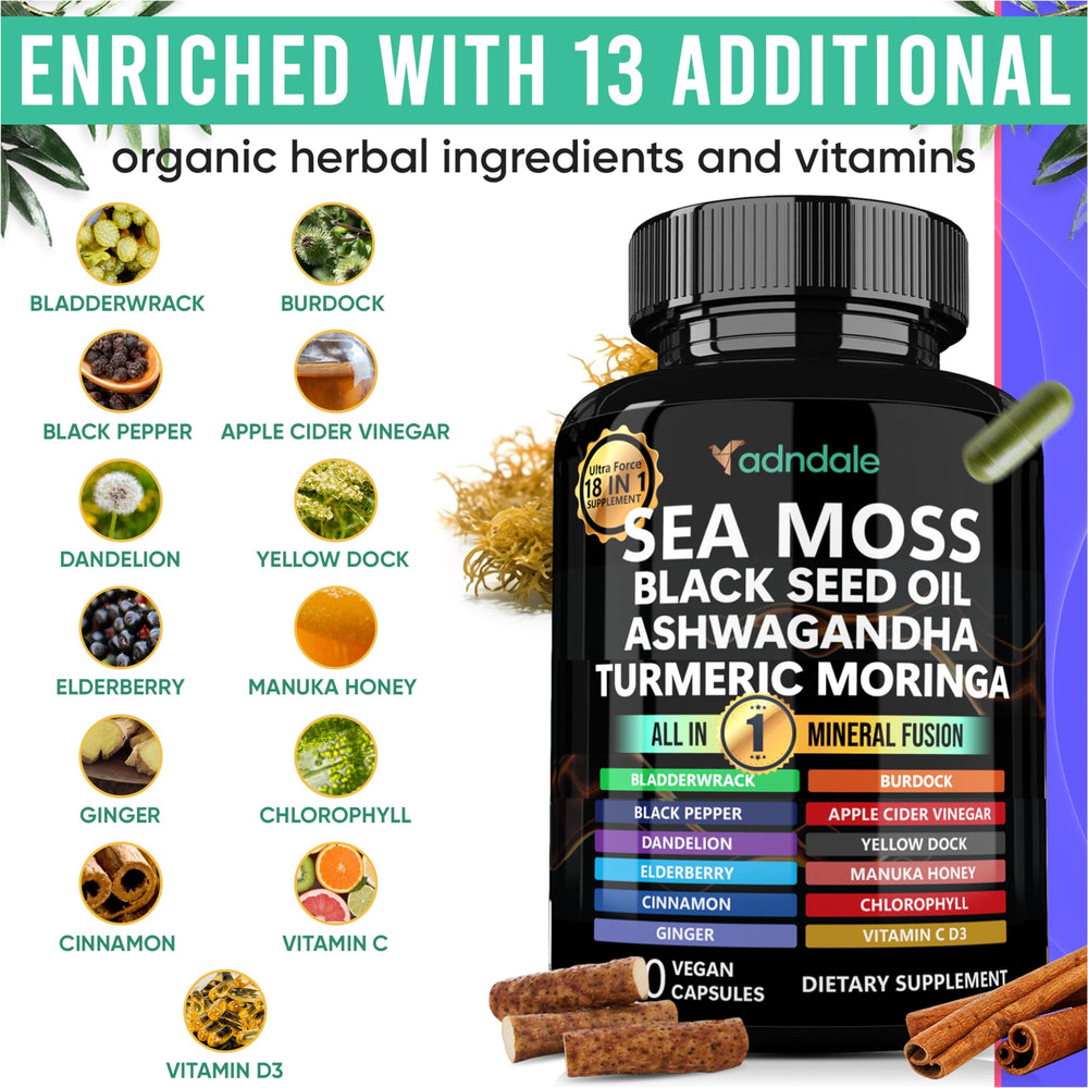 Adndale Sea Moss Ashwagandha Ginger capsules for focus and daily balance
