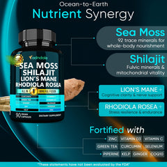 Adndale shilajit capsules close-up ready to sustain endurance and vitality