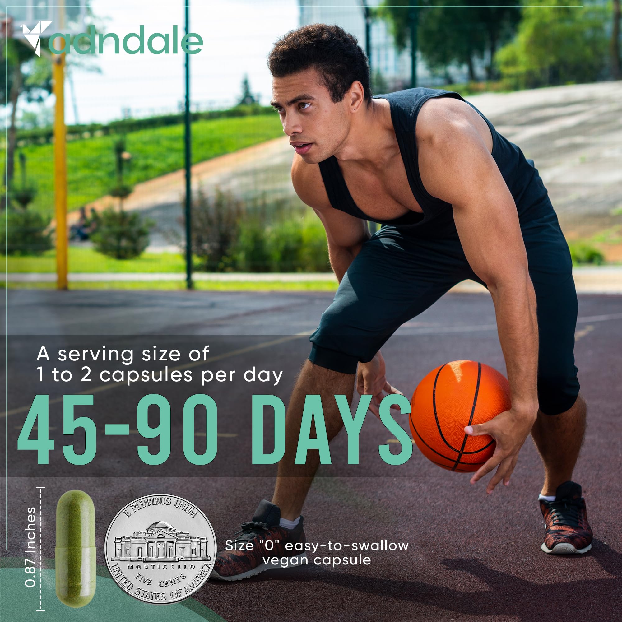 Adndale Sea Moss vegan gelatin-free capsules for plant based wellness