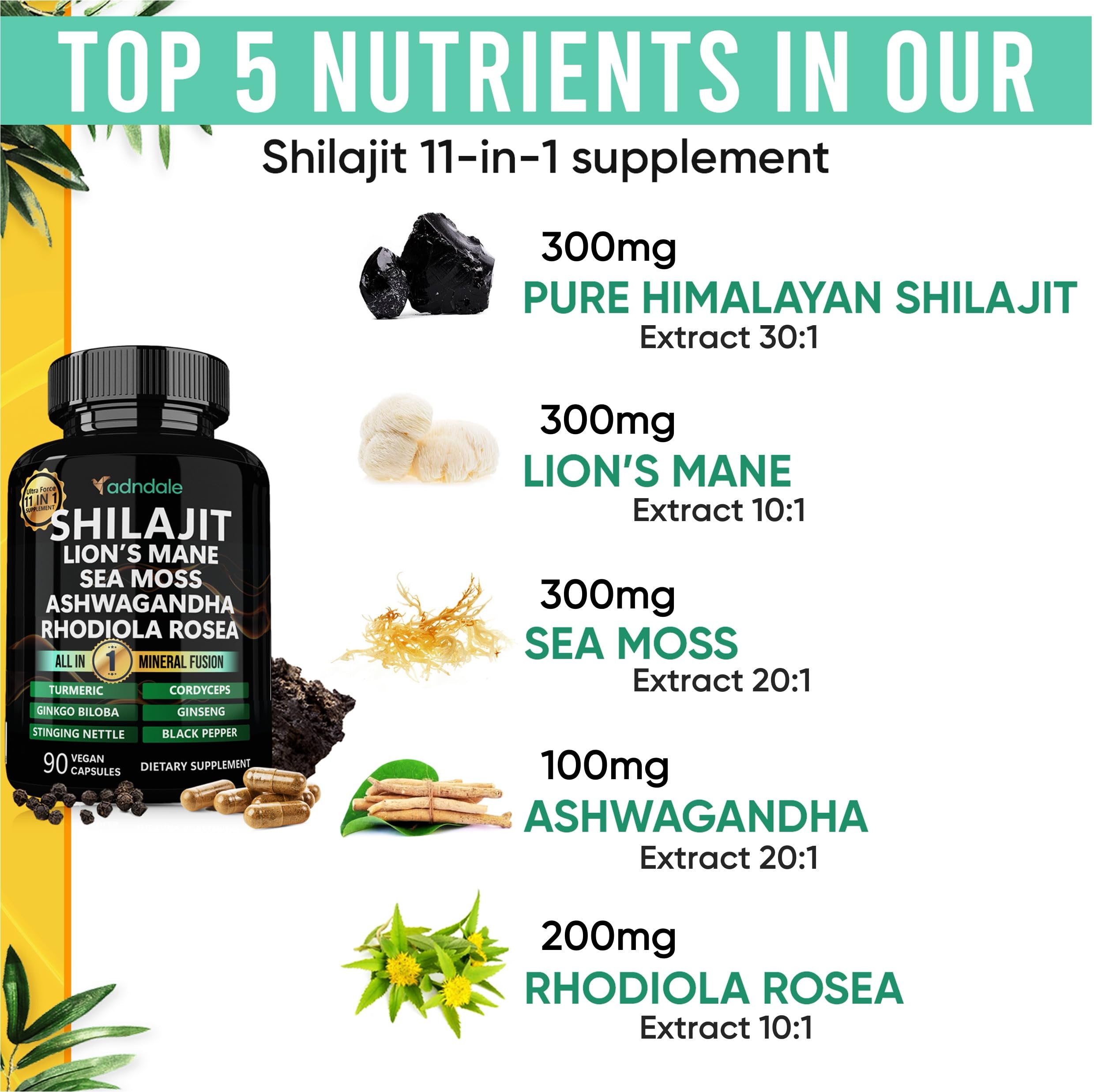 Adndale Shilajit capsules label close-up highlighting purity and blend.