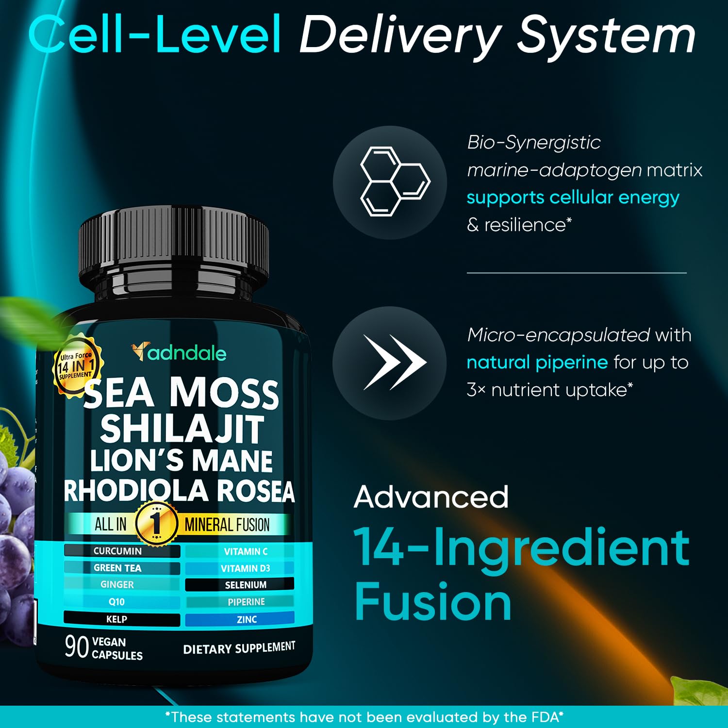 Adndale lion’s mane capsules featured for mental clarity and focus