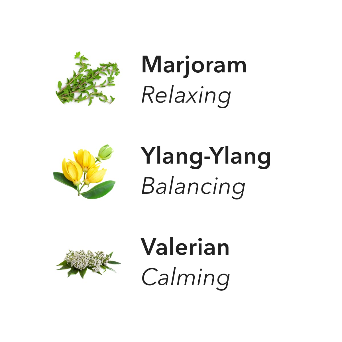 Aera Bliss notes of marjoram, ylang-ylang and valerian for calm ambience.