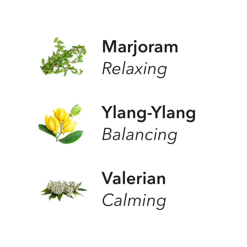 Aera Bliss notes of marjoram, ylang-ylang and valerian for calm ambience.