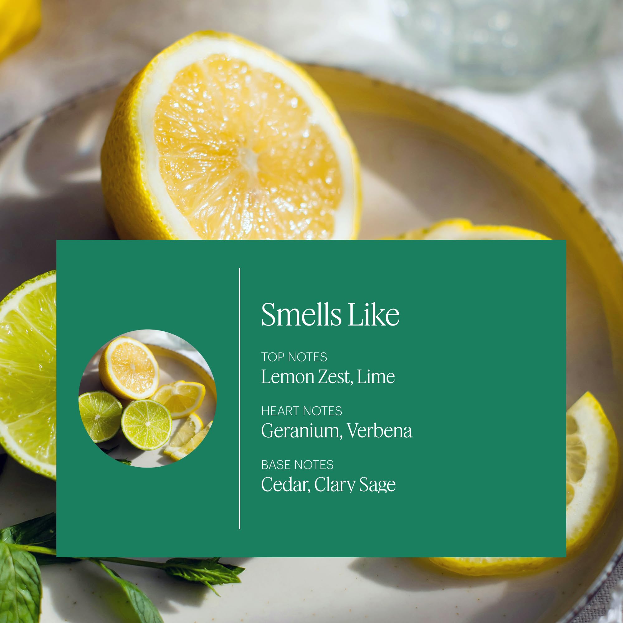 AERA Citrus and Sage refill packaging box with clean, informative design