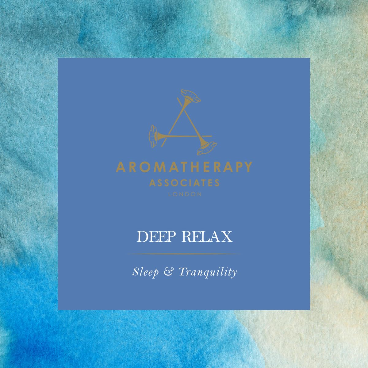 Aera Deep Relax chamomile note closeup highlights soothing fragrance