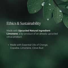 AERA Flower Shop refill packaging emphasizes sustainability and responsible sourcing