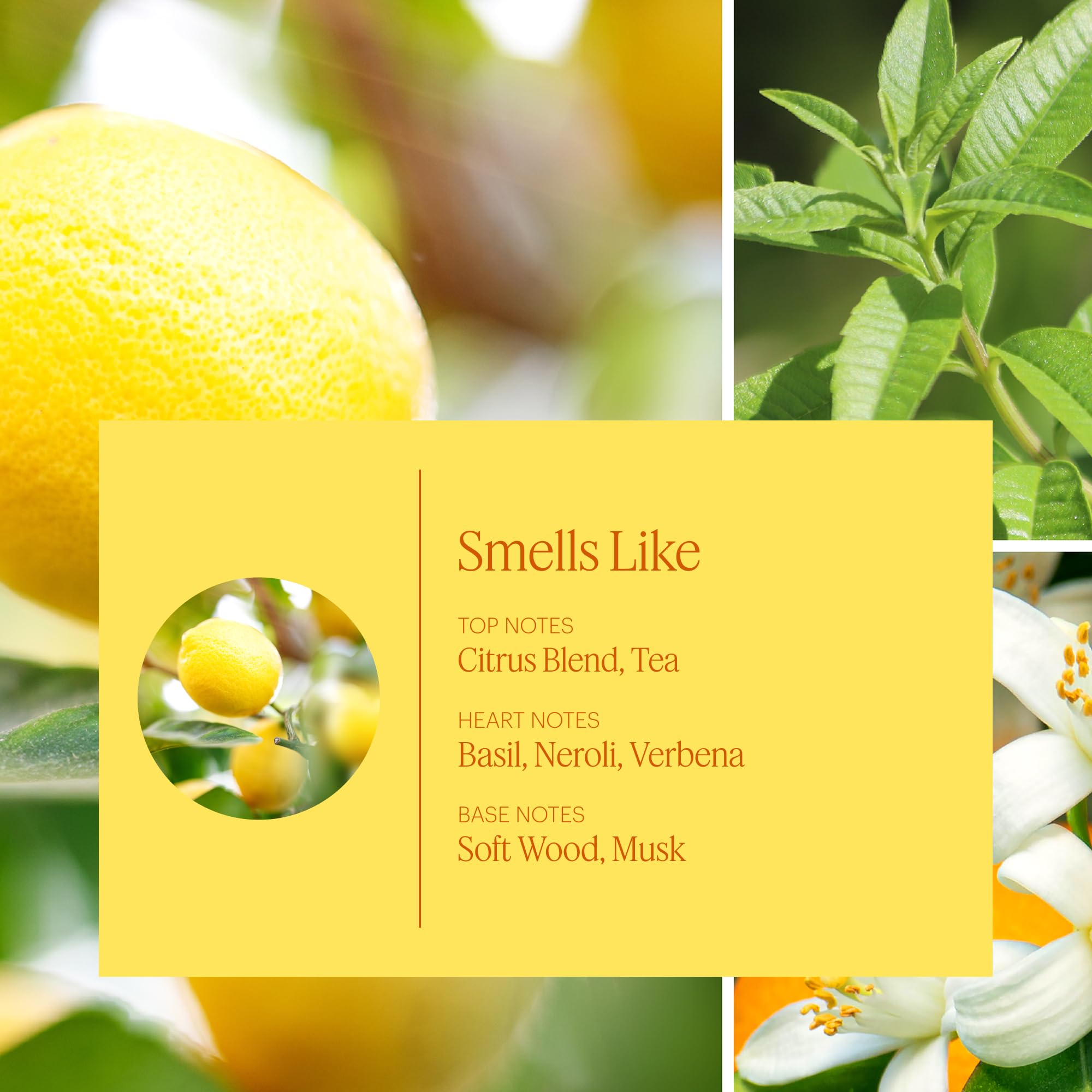 AERA Lemon Neroli refill packaging highlighting eco-conscious fragrance experience
