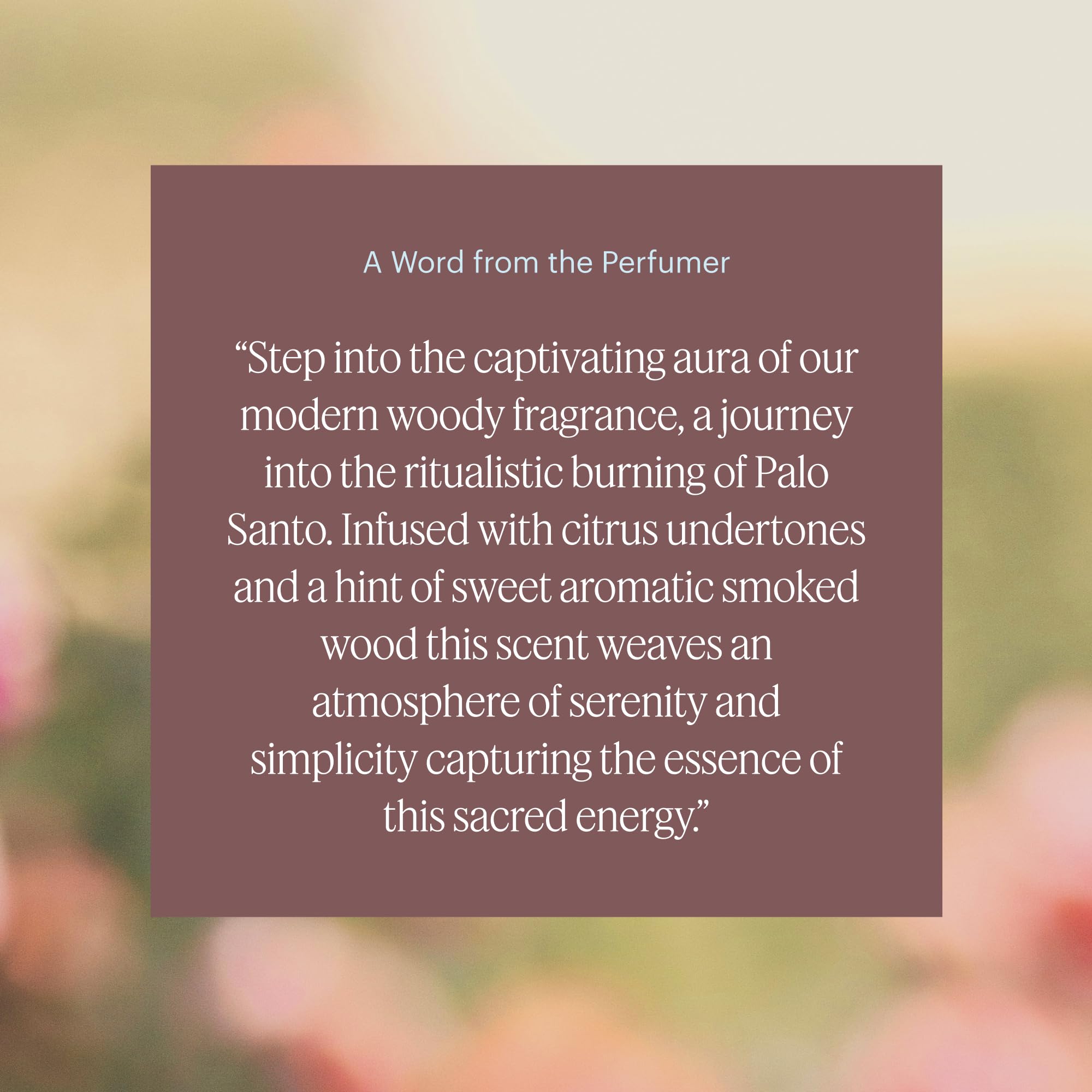 Aera Mini Palo Santo aroma image highlighting Palo Santo notes