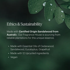 Aera Mini cedar, eucalyptus, and grapefruit blend visual
