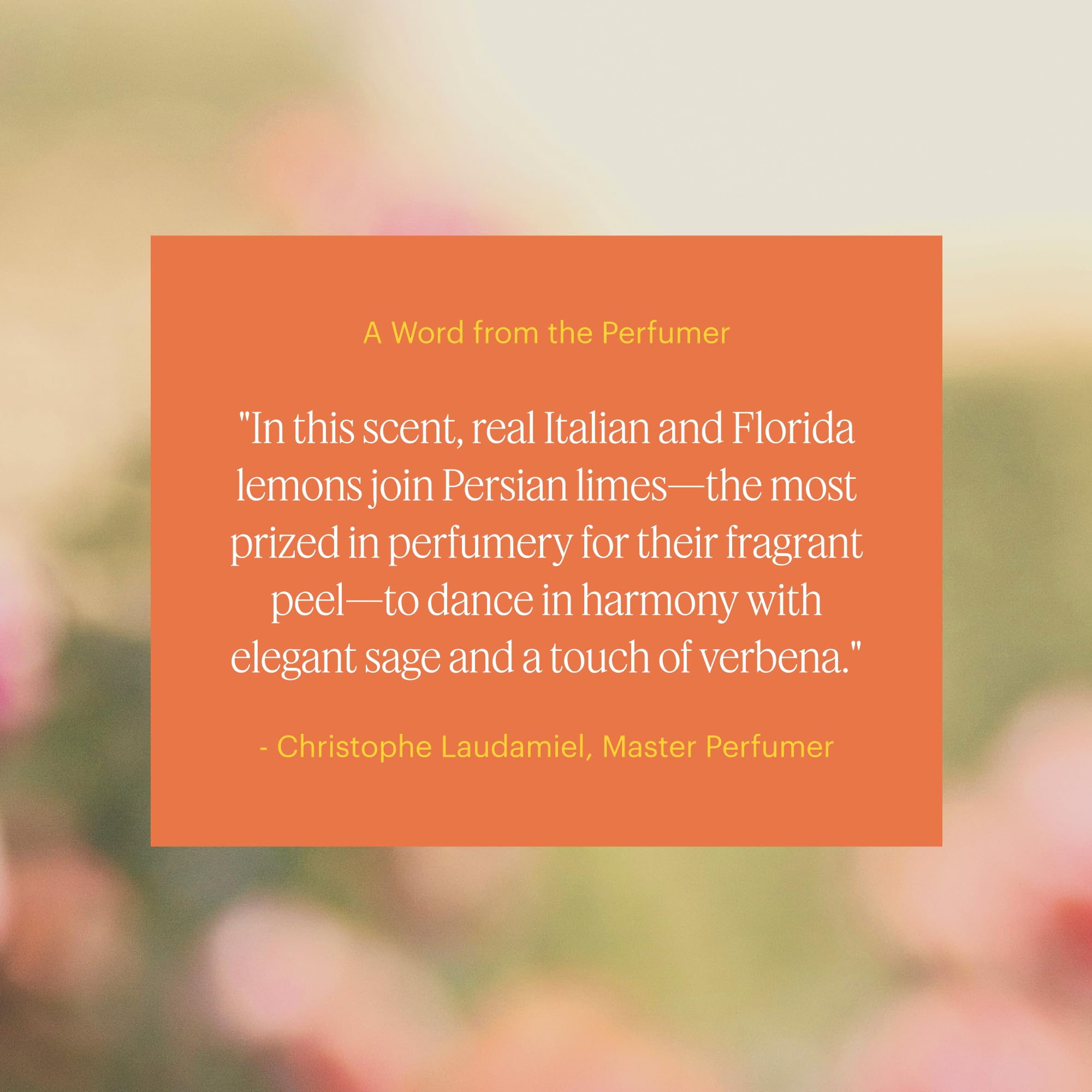 Aera Mini Citrus fragrance notes highlight lemon and cedar for bright ambience