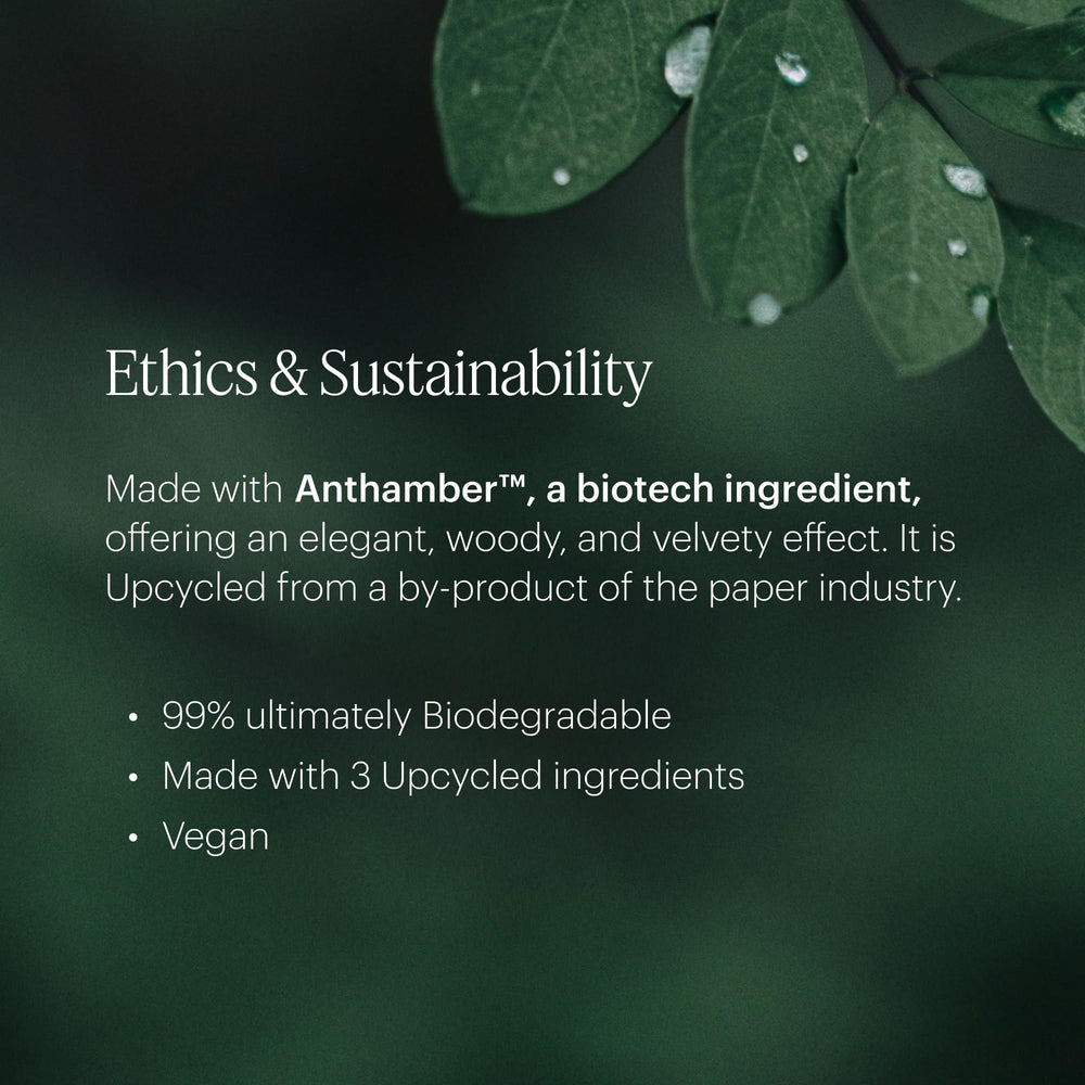 Aera Mini Diffuser showing Microdroplet Technology for even scent distribution.