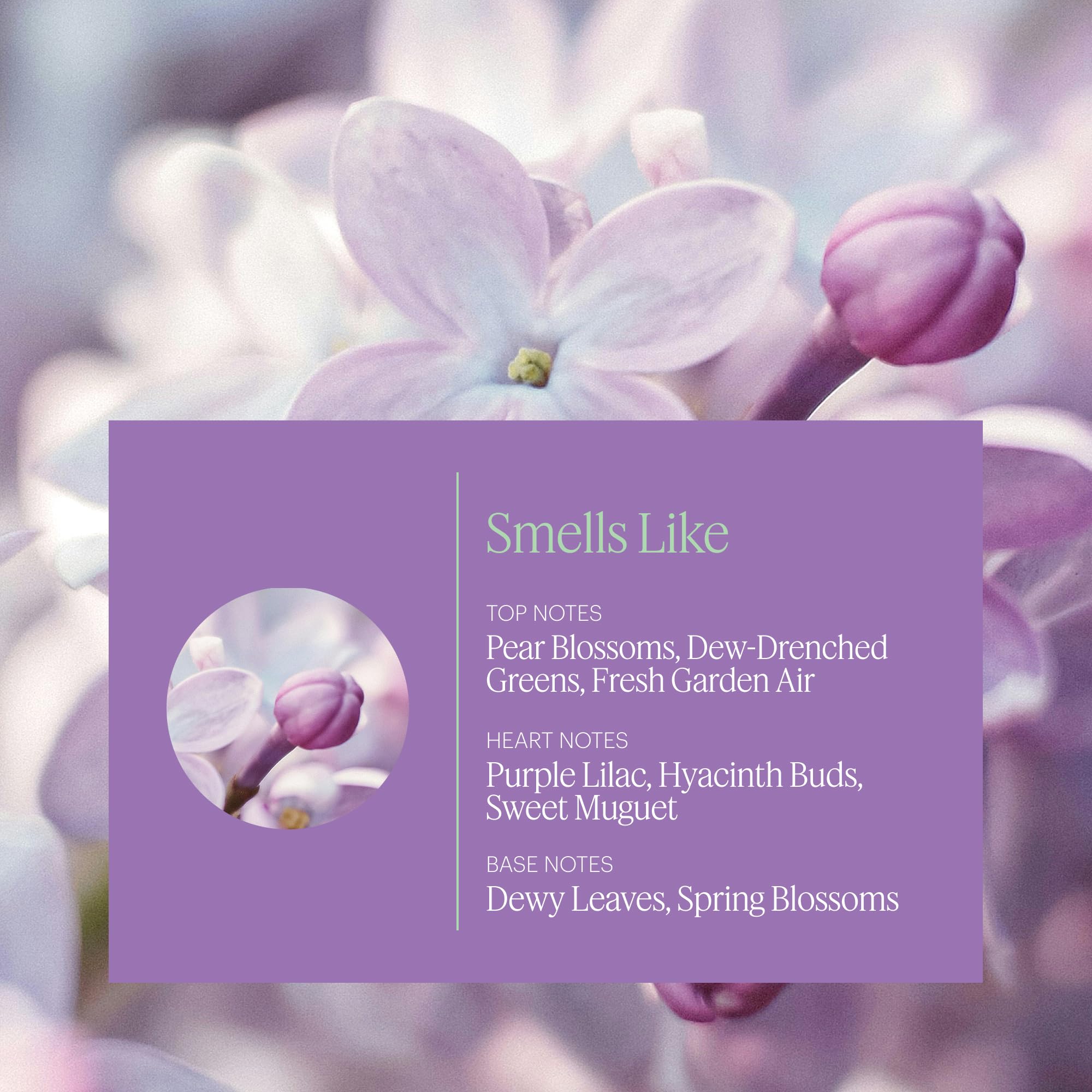 AERA Lilac Daydream diffuser ready capsule demonstrates quick setup for spa-like scent