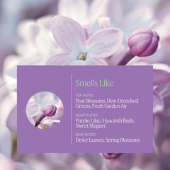 AERA Lilac Daydream diffuser ready capsule demonstrates quick setup for spa-like scent