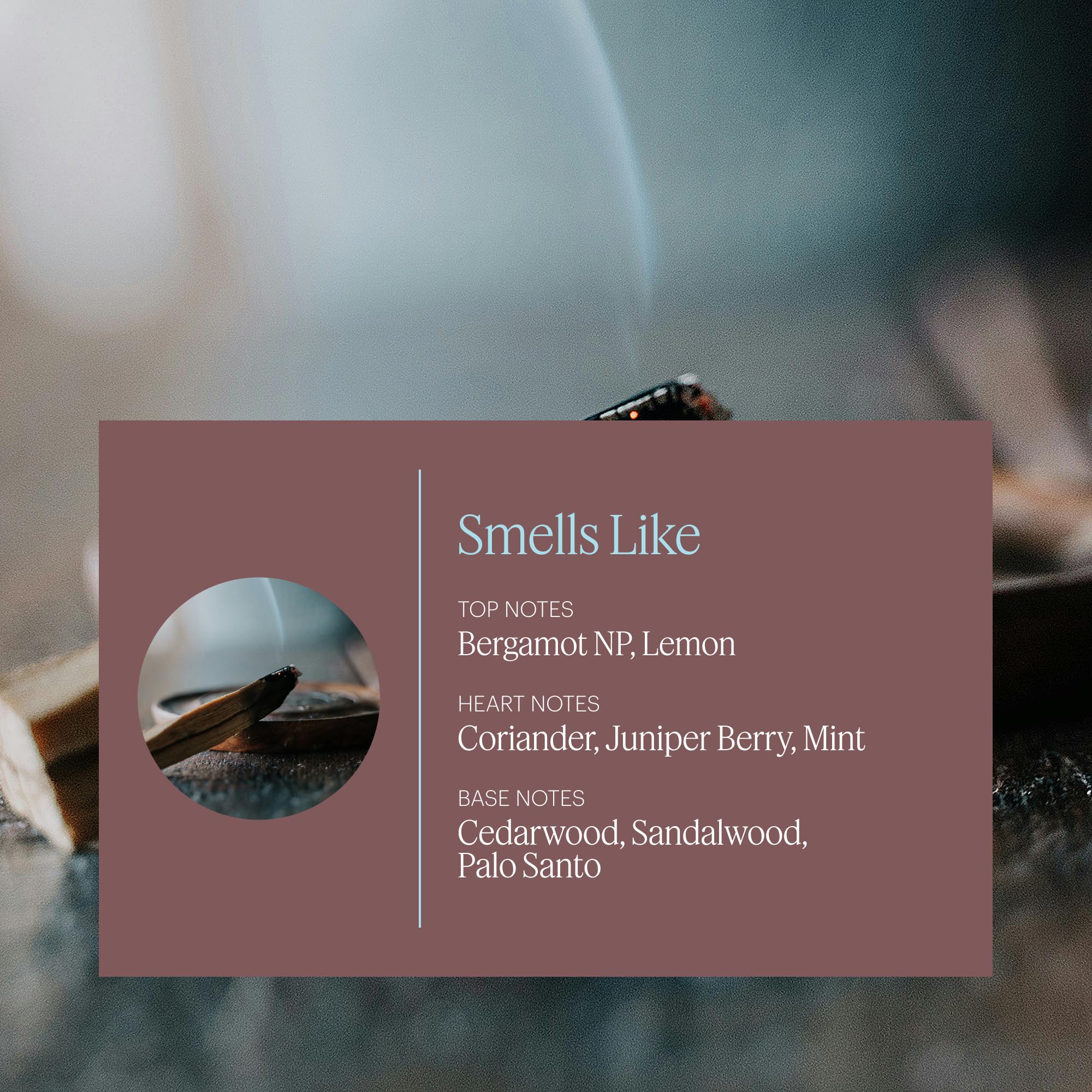 Aera Mini Palo Santo diffuser capsule with microdroplet technology