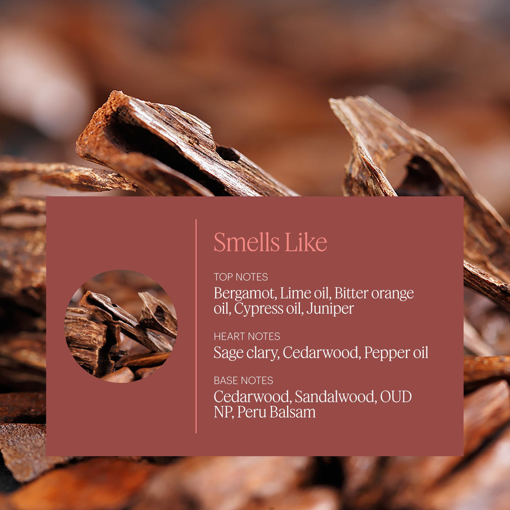Aera Mini Sandalwood diffuser setup showing capsule-sized refill.