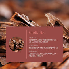Aera Mini Sandalwood diffuser setup showing capsule-sized refill.