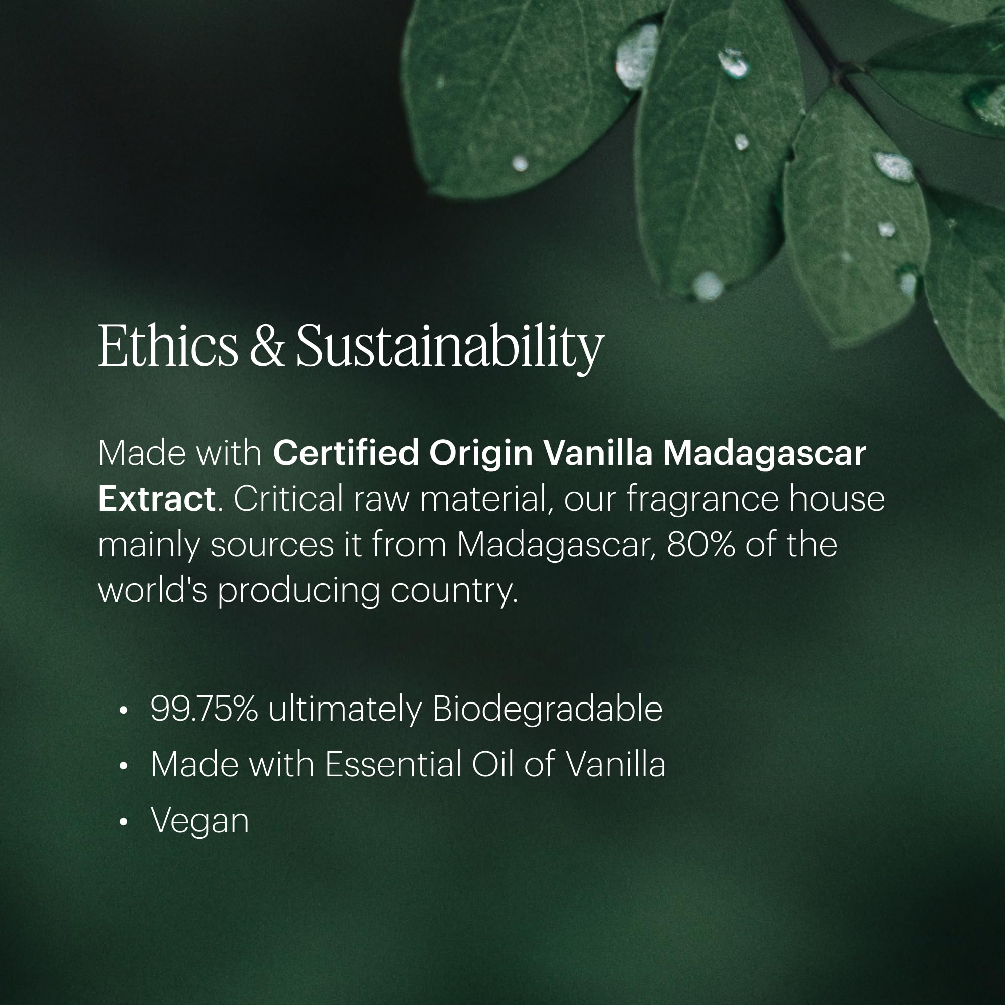AERA Mini Vanilla tonka note adds depth and warmth to the scent