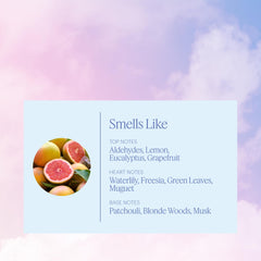 Aera Rainbow Mist ingredients display featuring patchouli, lemon, and eucalyptus for natural ambience.